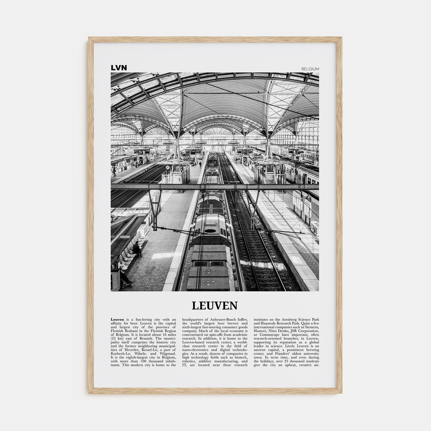 Leuven Travel B&W No 2 Poster