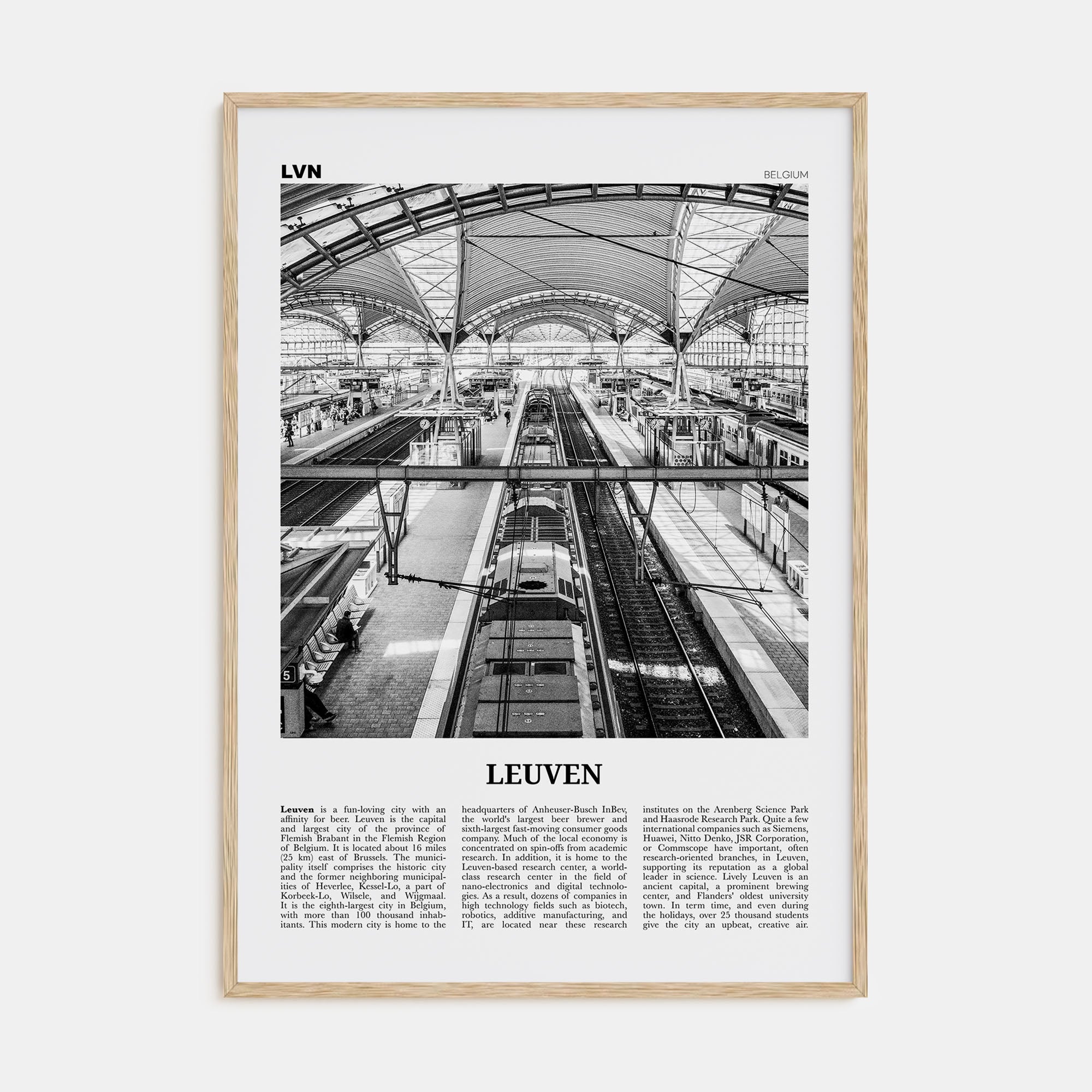 Leuven Travel B&W No 2 Poster