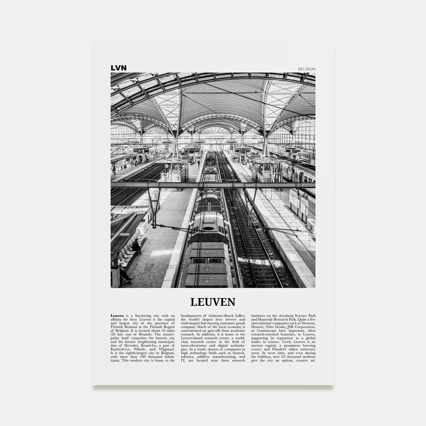 Leuven Travel B&W No 2 Poster