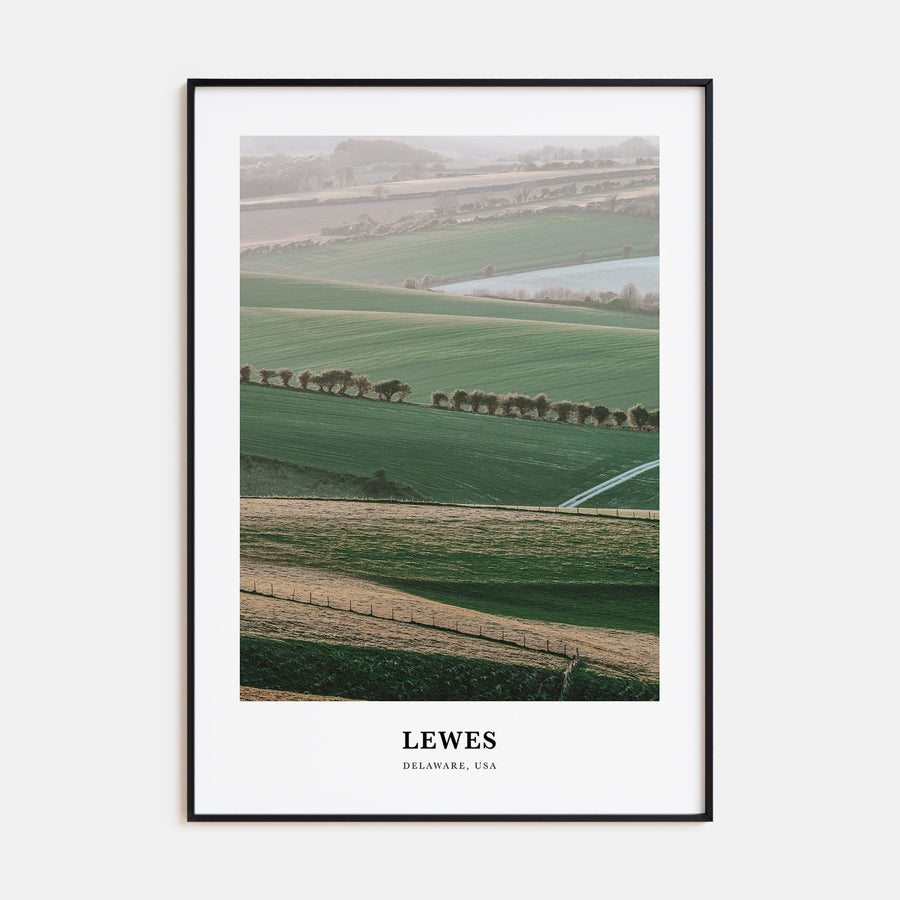 Lewes Portrait Color Poster