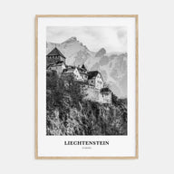 Liechtenstein Portrait B&W Poster