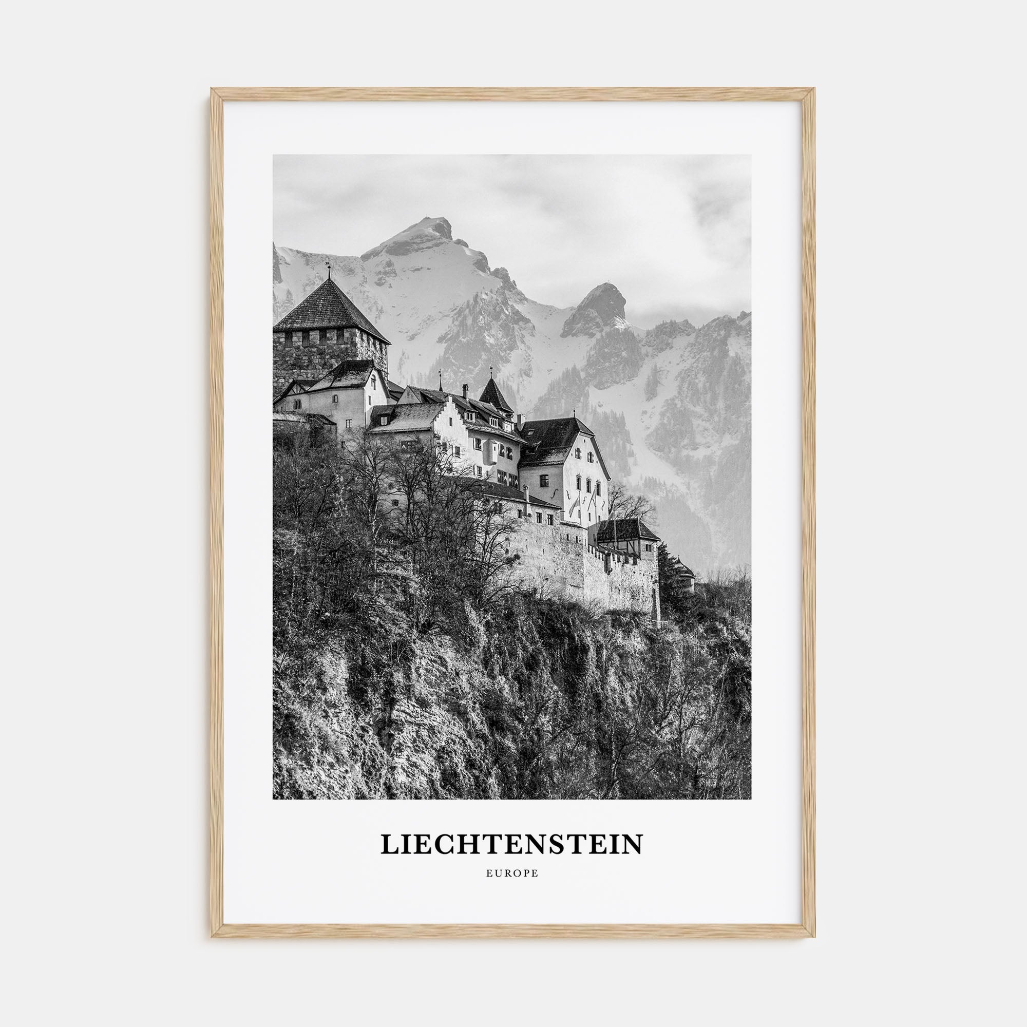 Liechtenstein Portrait B&W Poster