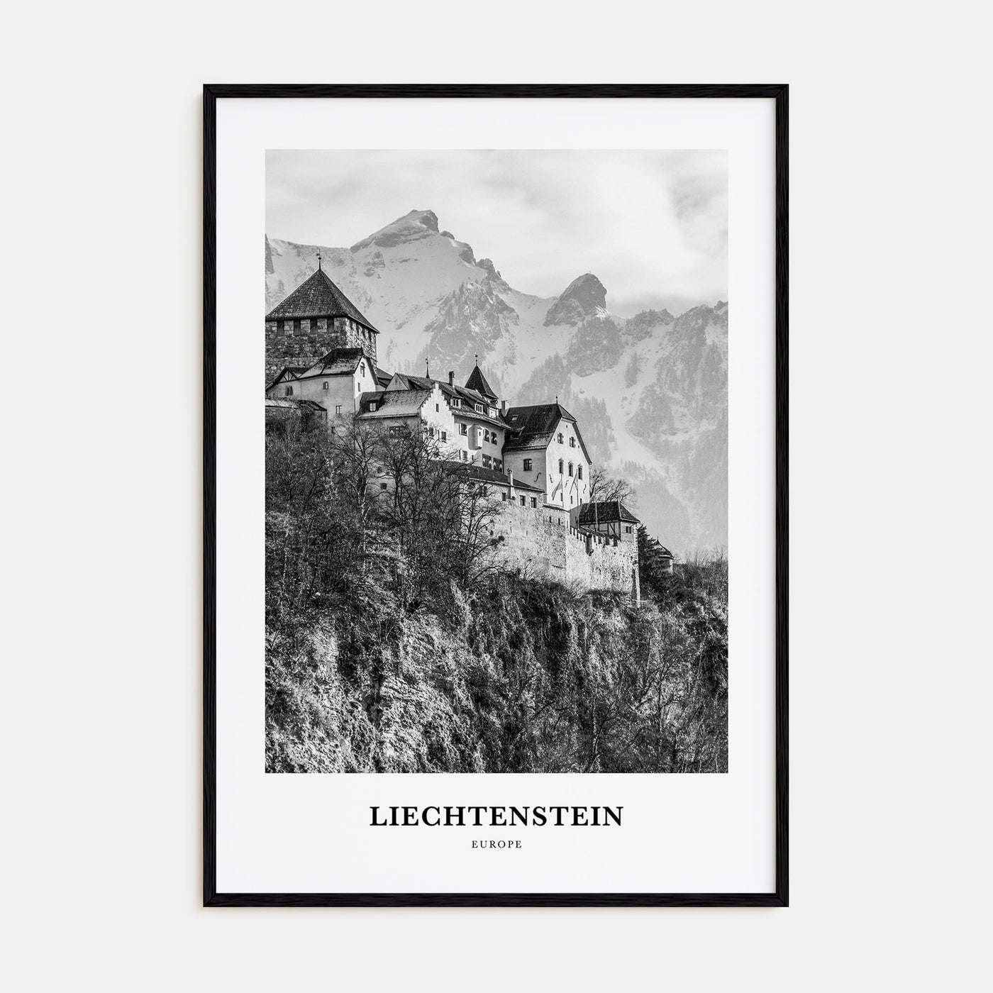 Liechtenstein Portrait B&W Poster