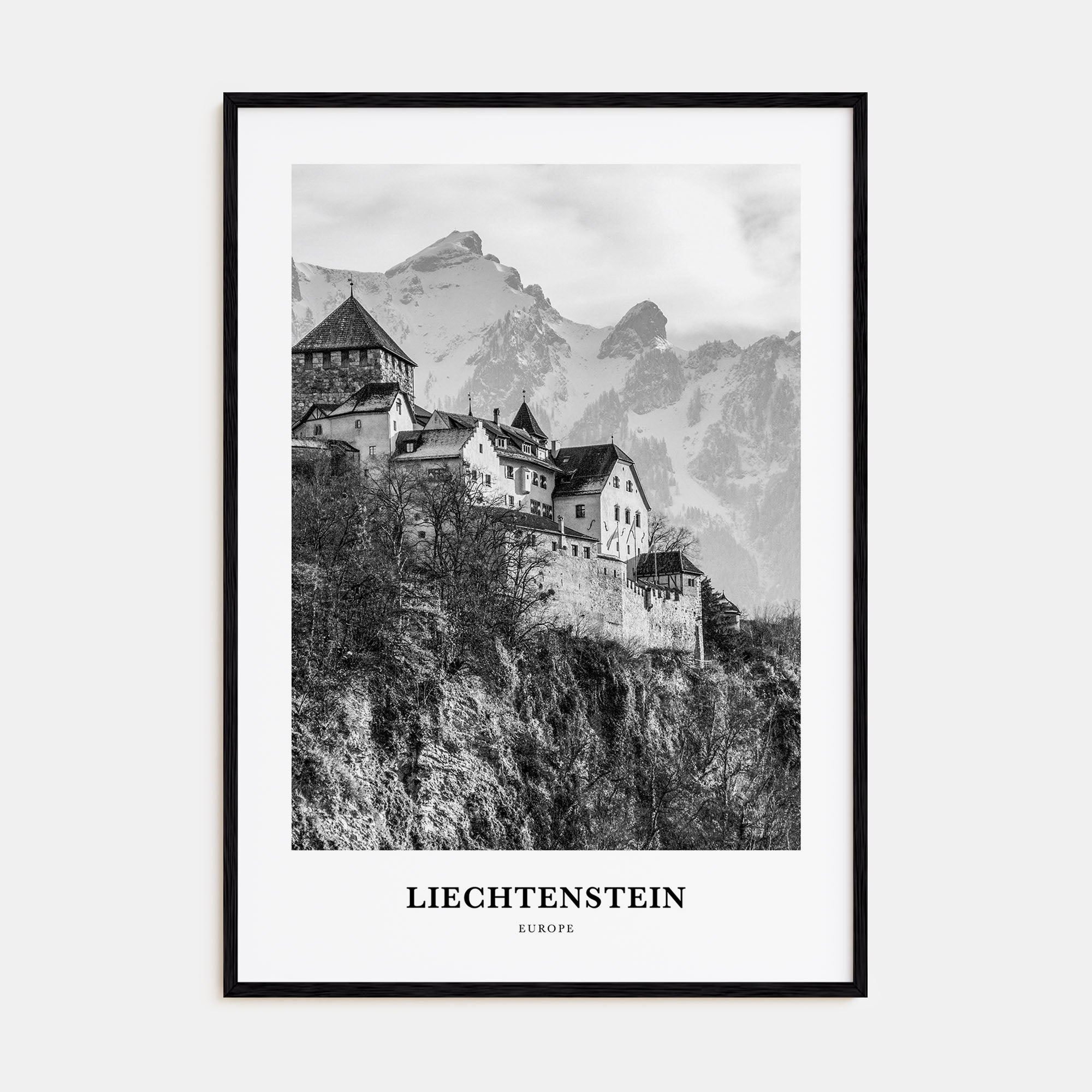 Liechtenstein Portrait B&W Poster
