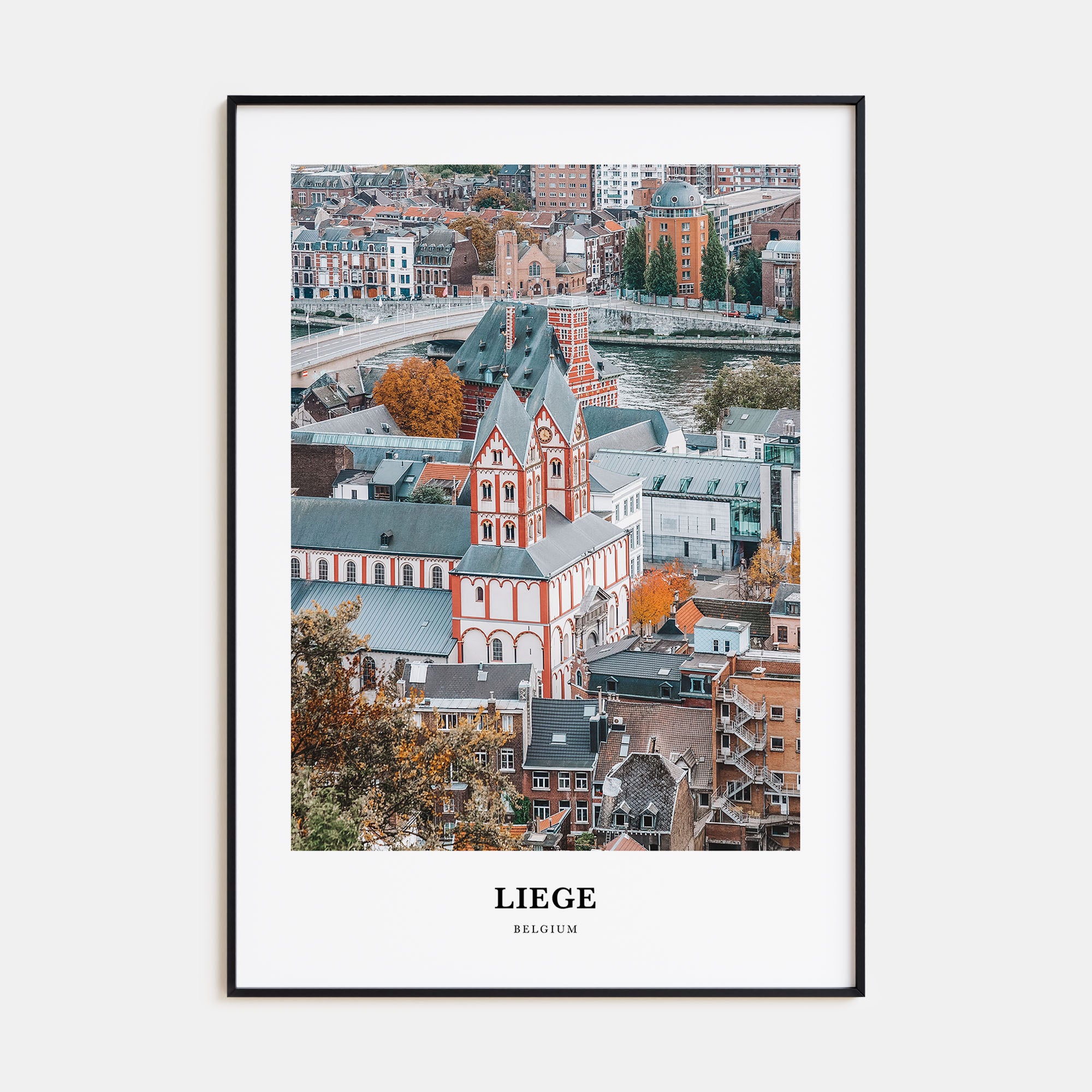 Liege Portrait Color Poster