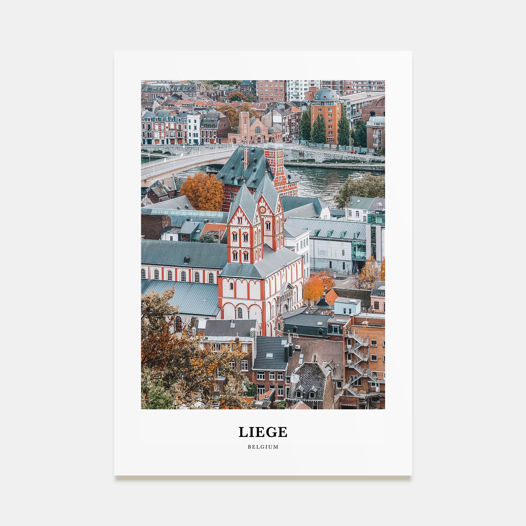 Liege Portrait Color Poster