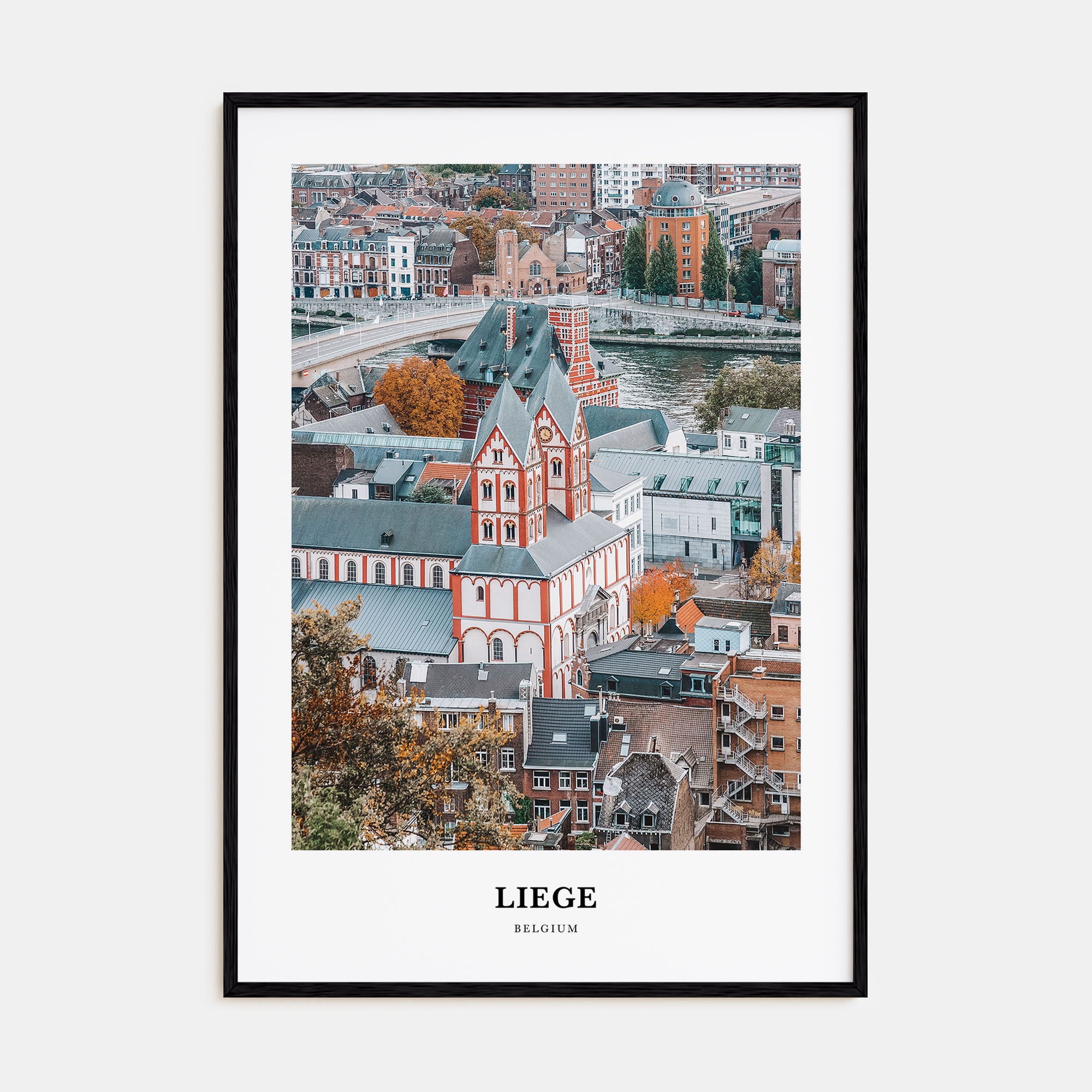 Liege Portrait Color Poster