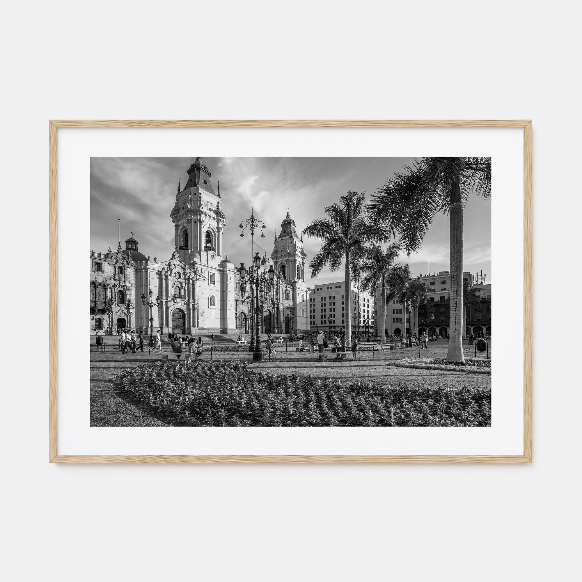 Lima Landscape B&W Poster