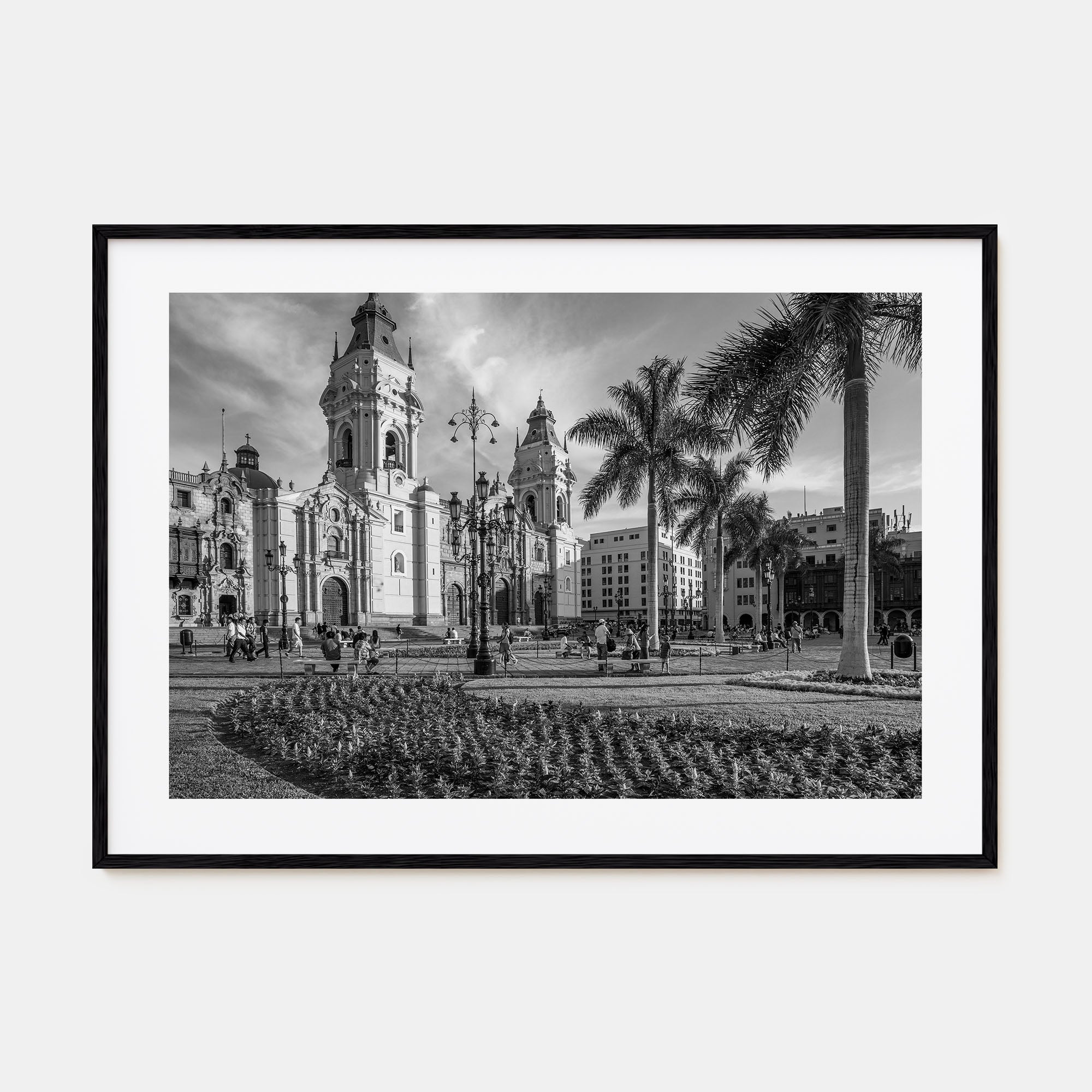 Lima Landscape B&W Poster