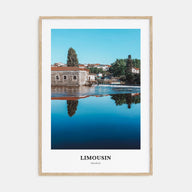 Limousin Portrait Color Poster