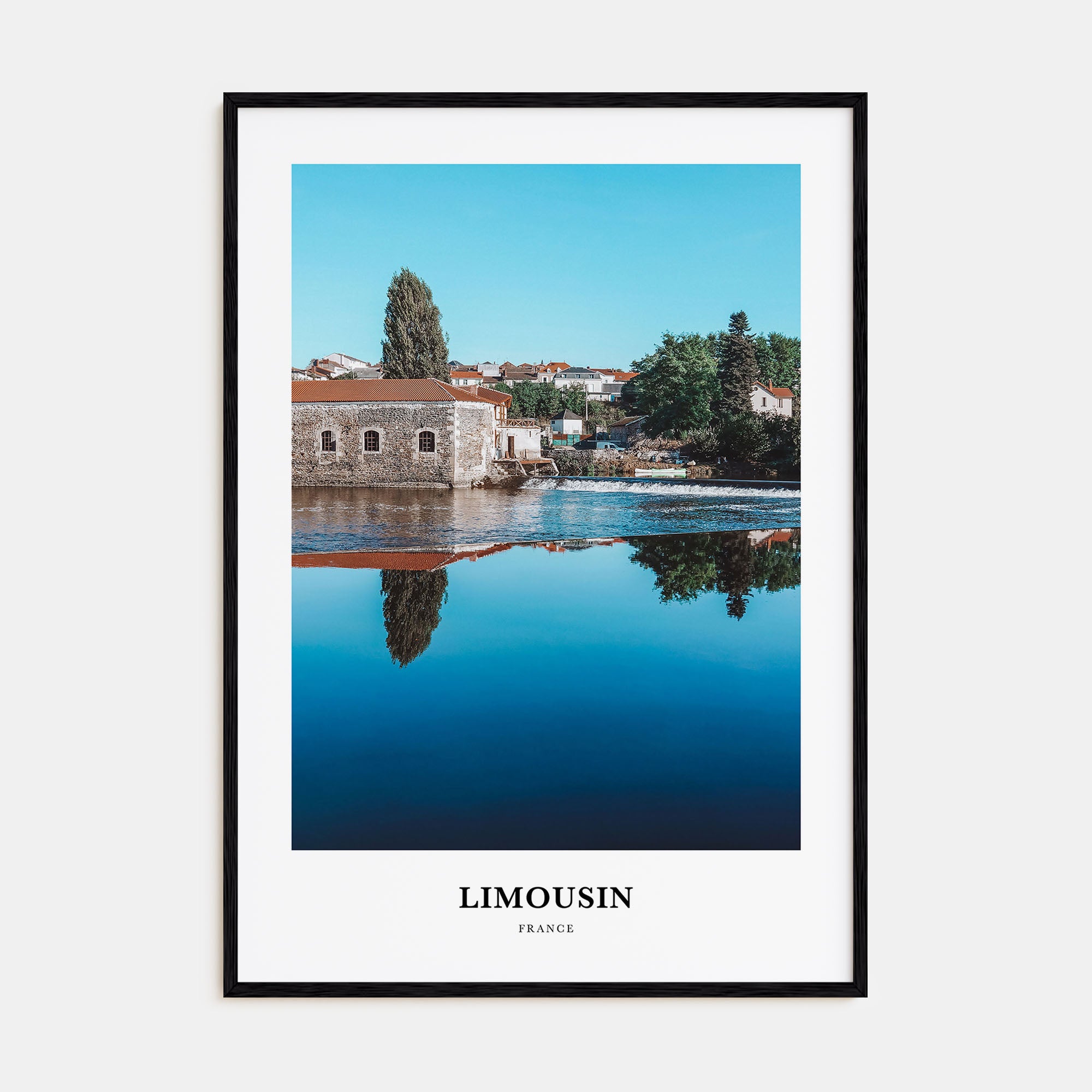 Limousin Portrait Color Poster