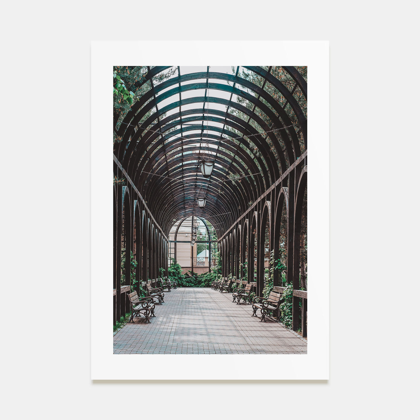 Lincoln Park Photo Color No 3 Poster