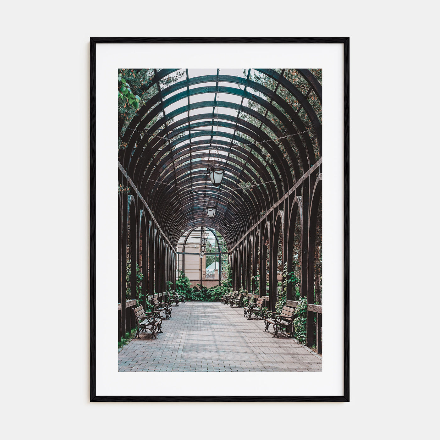 Lincoln Park Photo Color No 3 Poster