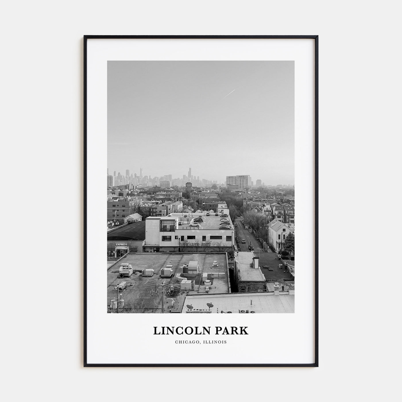 Lincoln Park Portrait B&W No 2 Poster