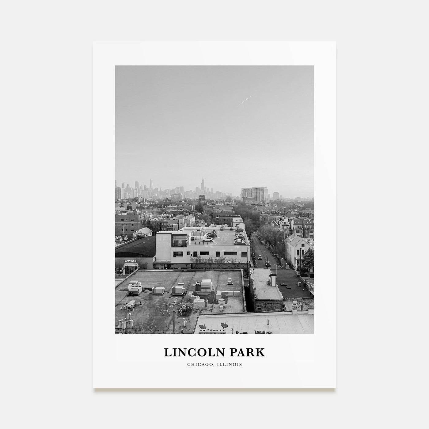 Lincoln Park Portrait B&W No 2 Poster
