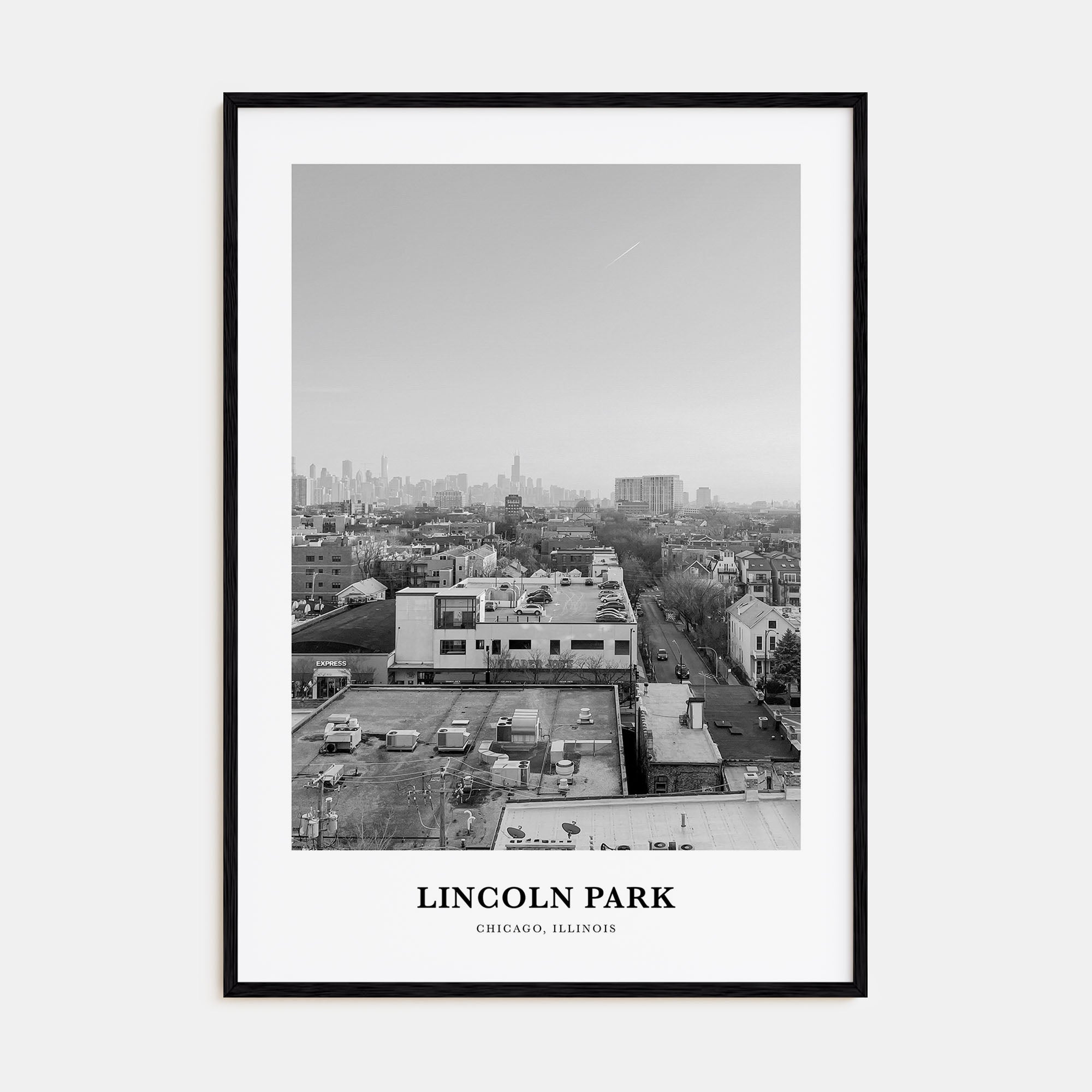 Lincoln Park Portrait B&W No 2 Poster