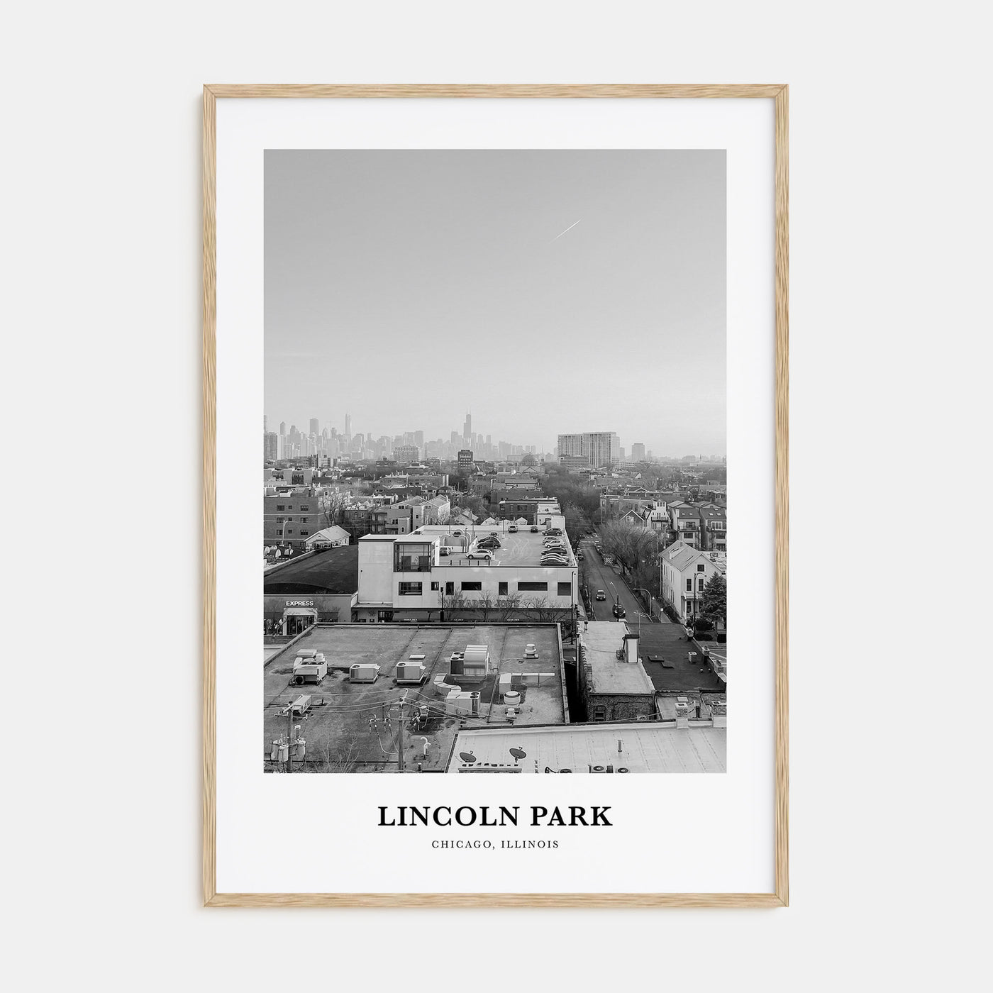 Lincoln Park Portrait B&W No 2 Poster