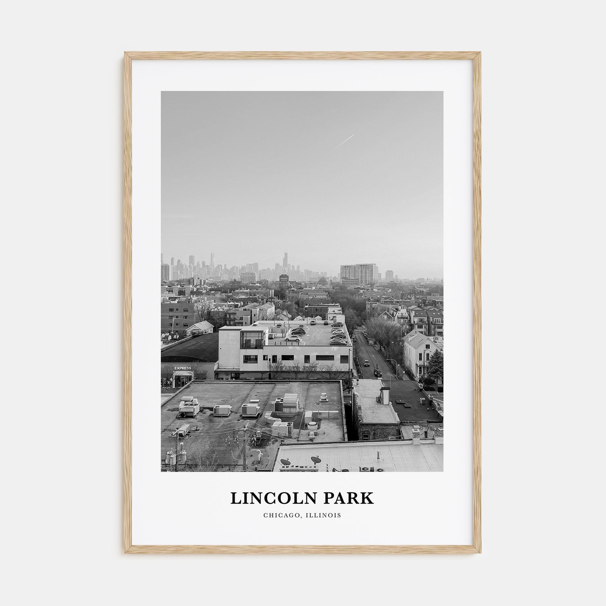 Lincoln Park Portrait B&W No 2 Poster