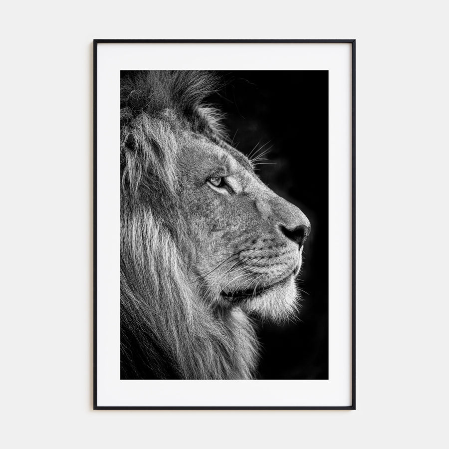 Lion Photo B&W No 1 Poster