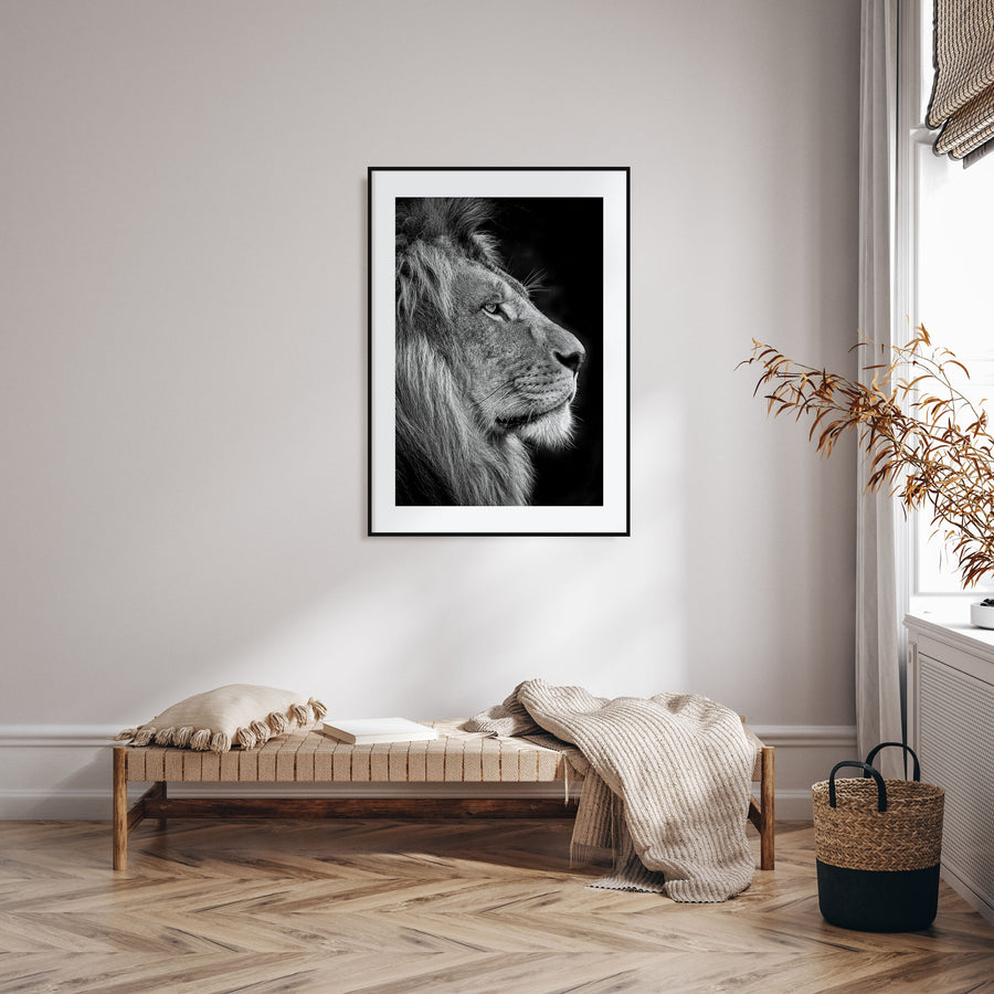 Lion Photo B&W No 1 Poster