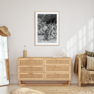 Lion Photo B&W No 3 Poster