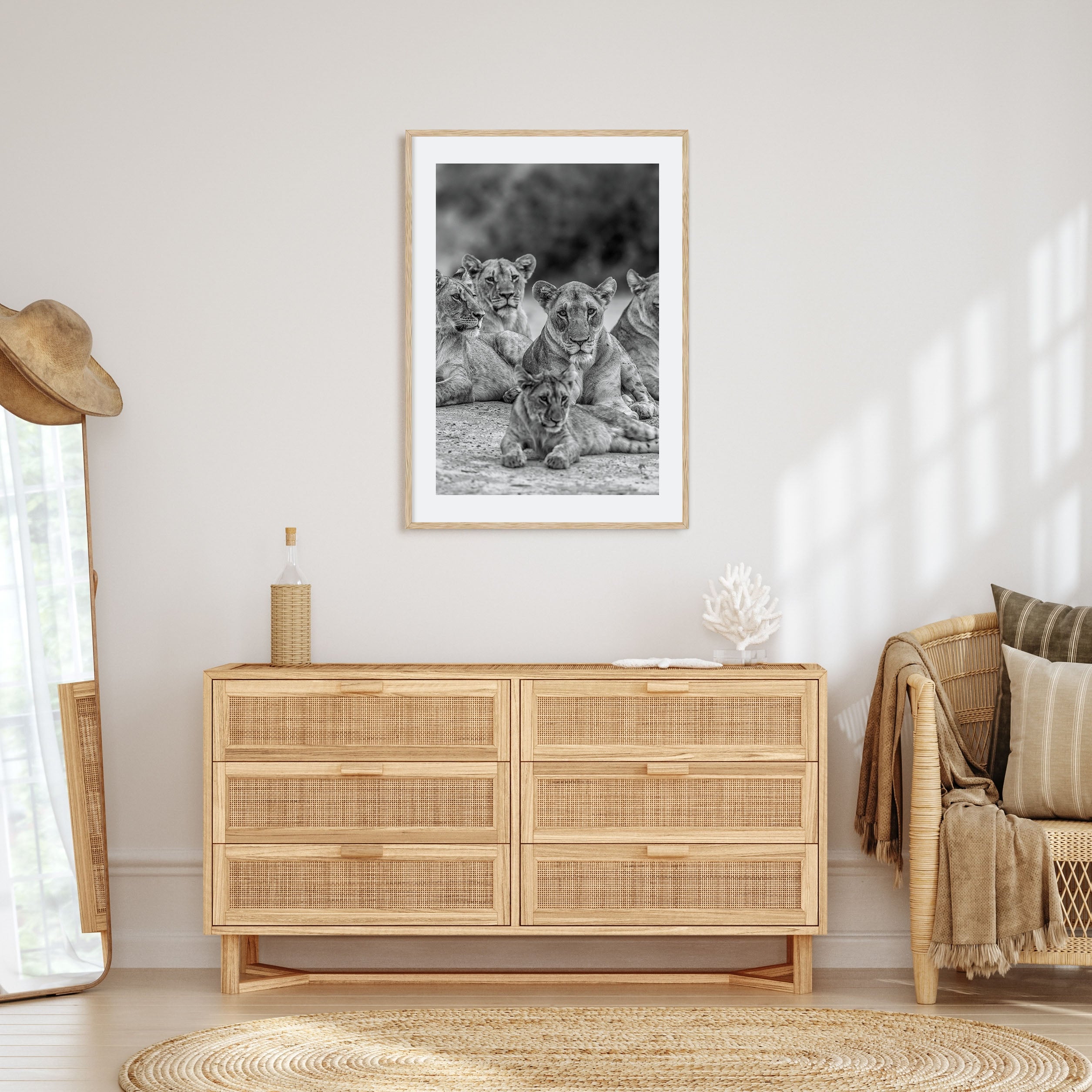 Lion Photo B&W No 3 Poster