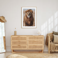 Lion Photo Color No 1 Poster