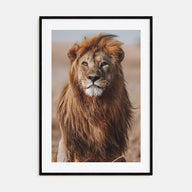 Lion Photo Color No 1 Poster