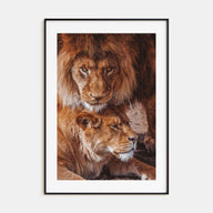 Lion Photo Color No 3 Poster
