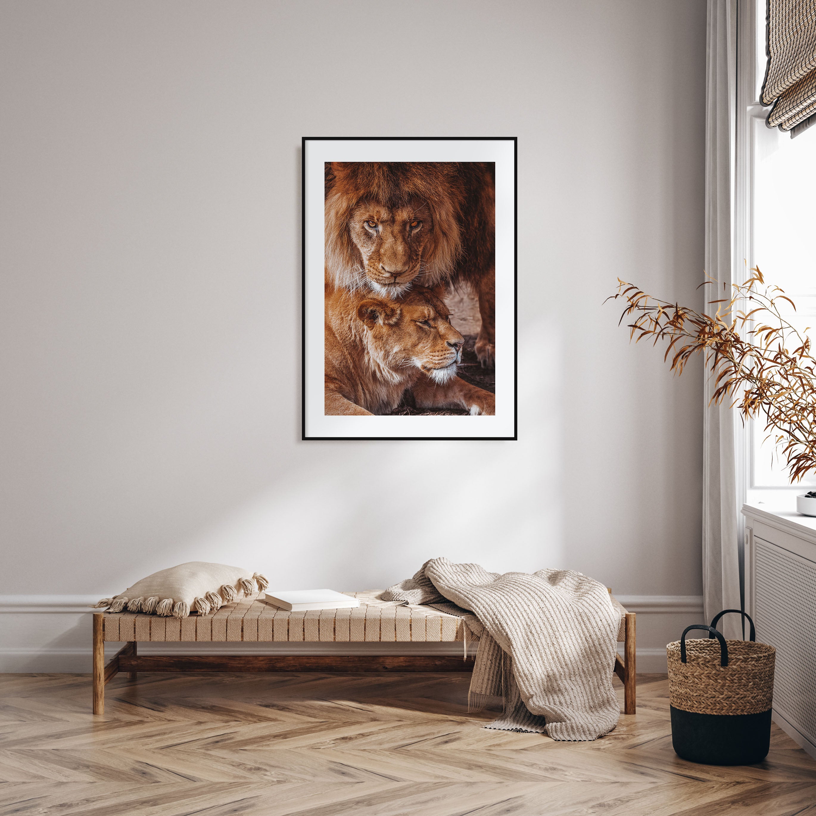 Lion Photo Color No 3 Poster