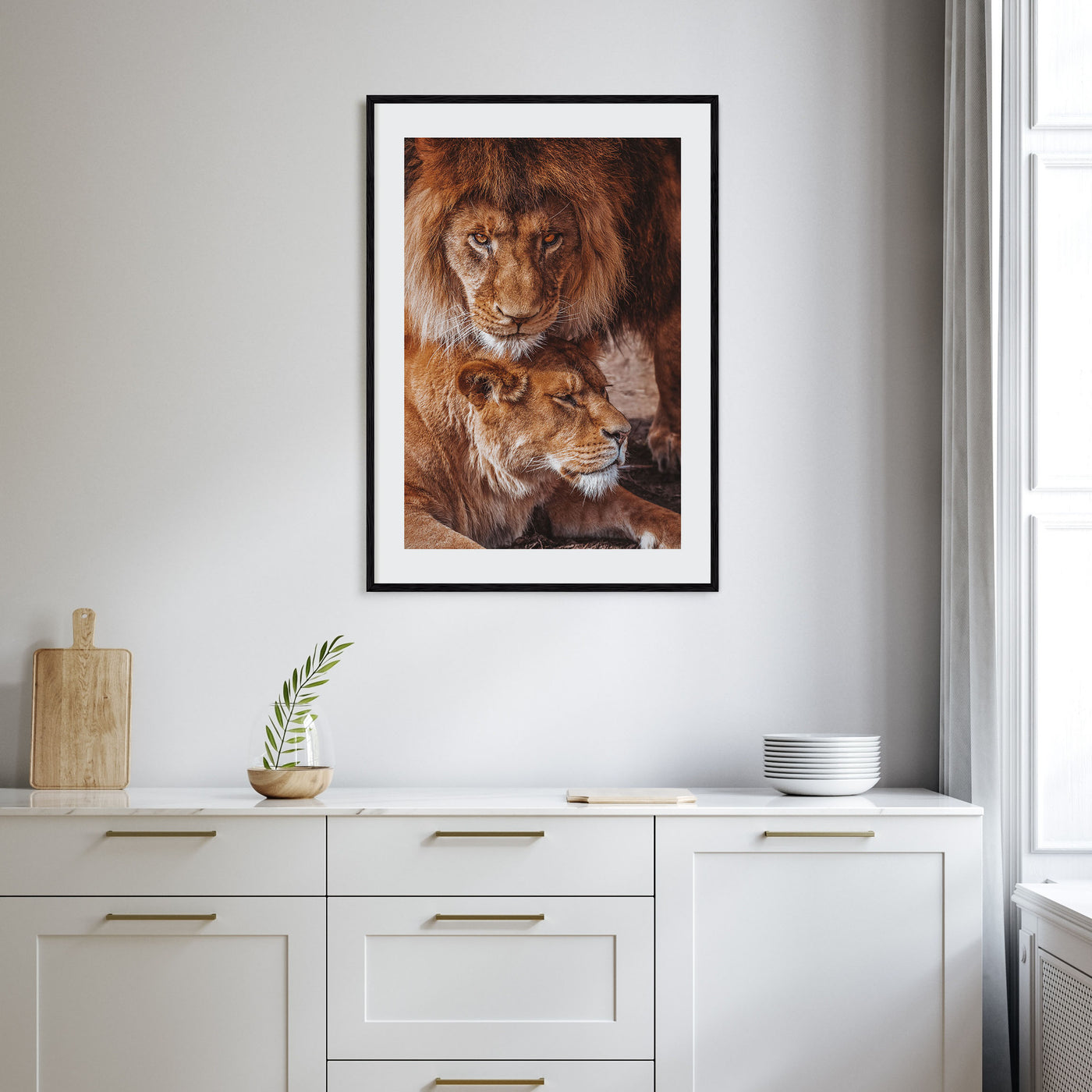 Lion Photo Color No 3 Poster