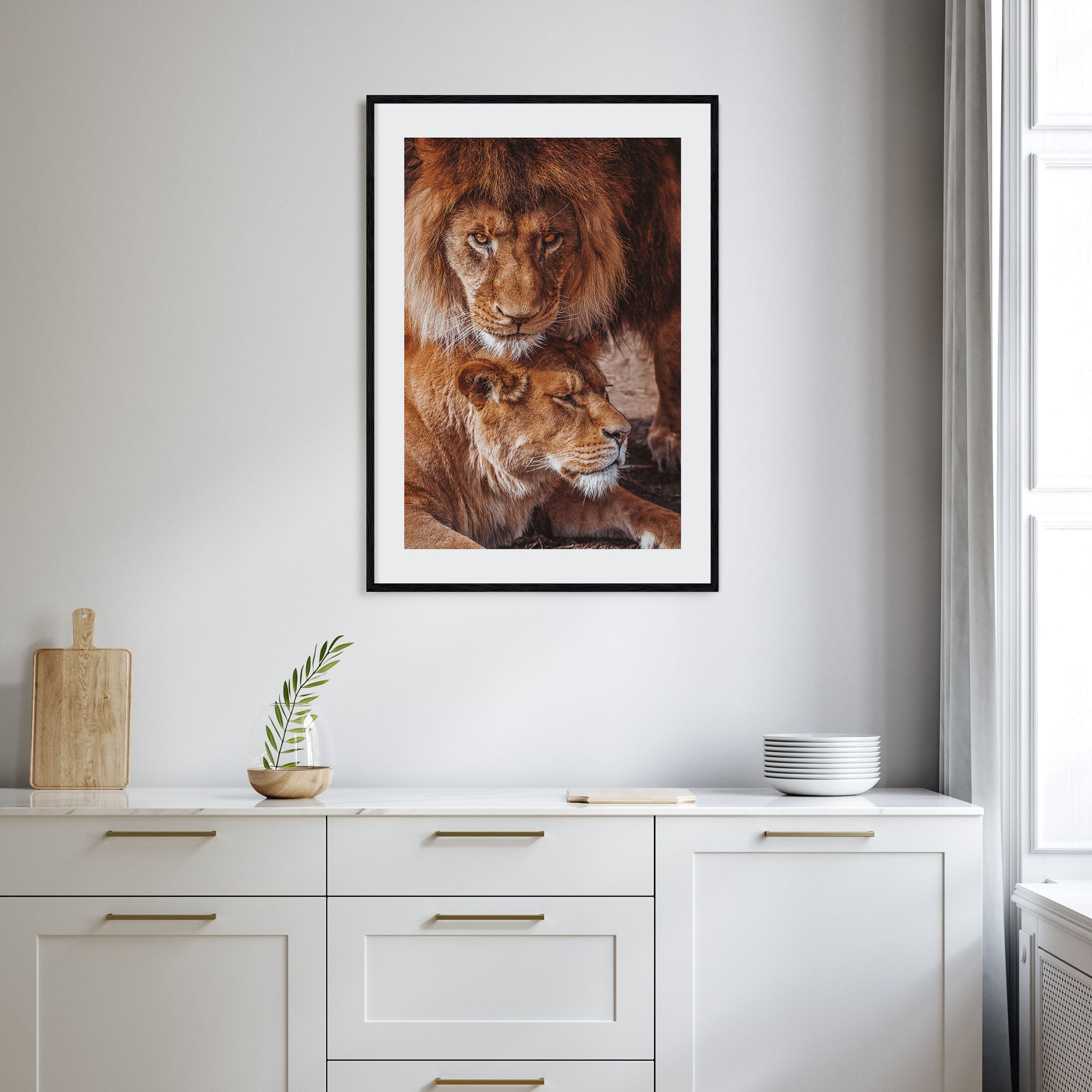 Lion Photo Color No 3 Poster