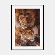 Lion Photo Color No 3 Poster