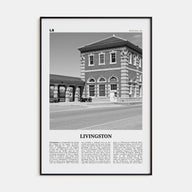 Livingston Travel B&W Poster