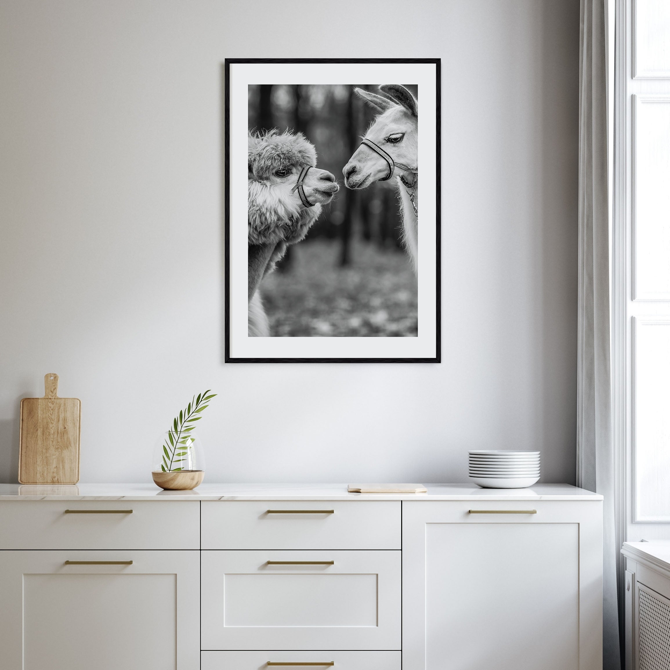 Llama Photo B&W Poster