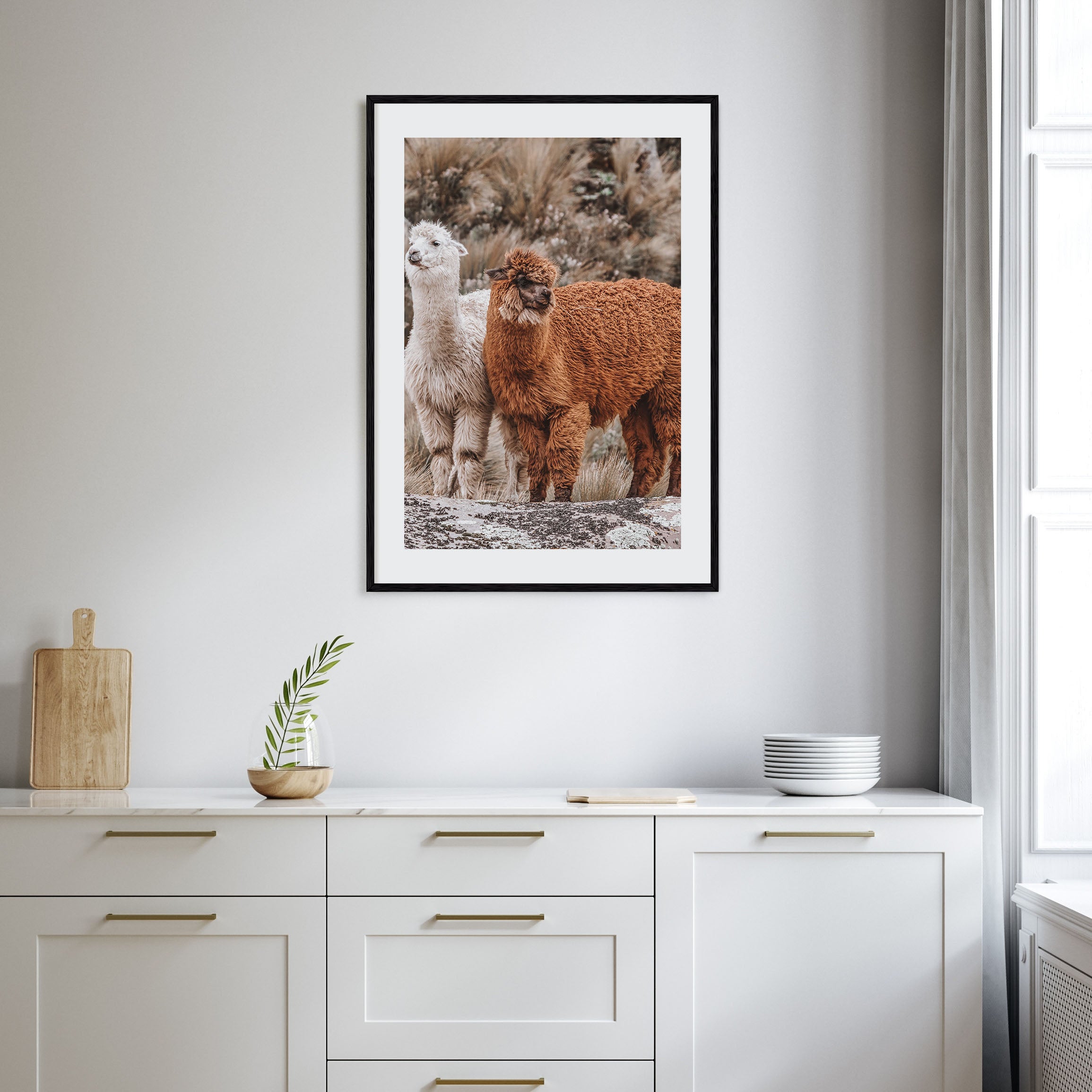 Llama Photo Color Poster