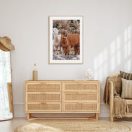 Llama Photo Color Poster