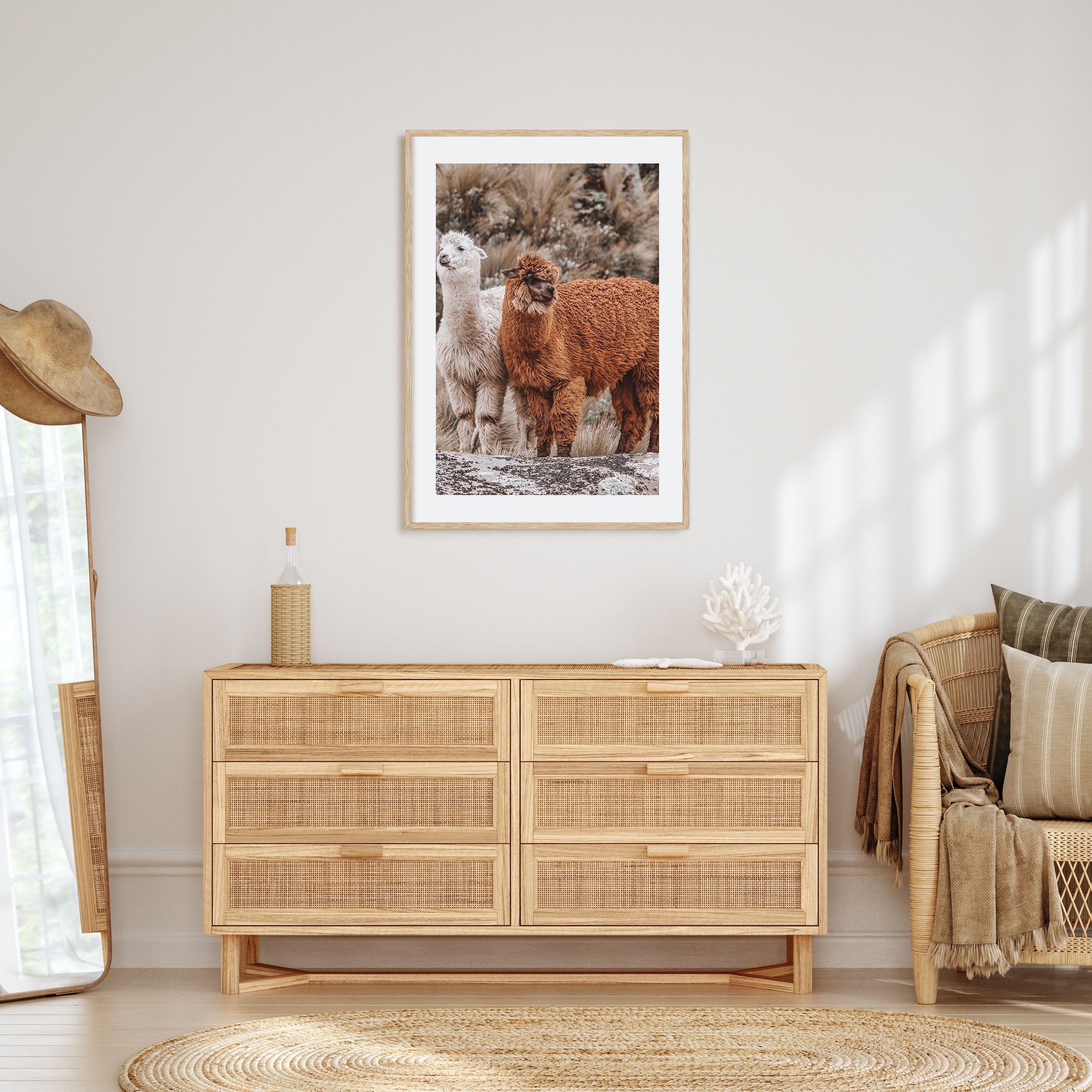 Llama Photo Color Poster