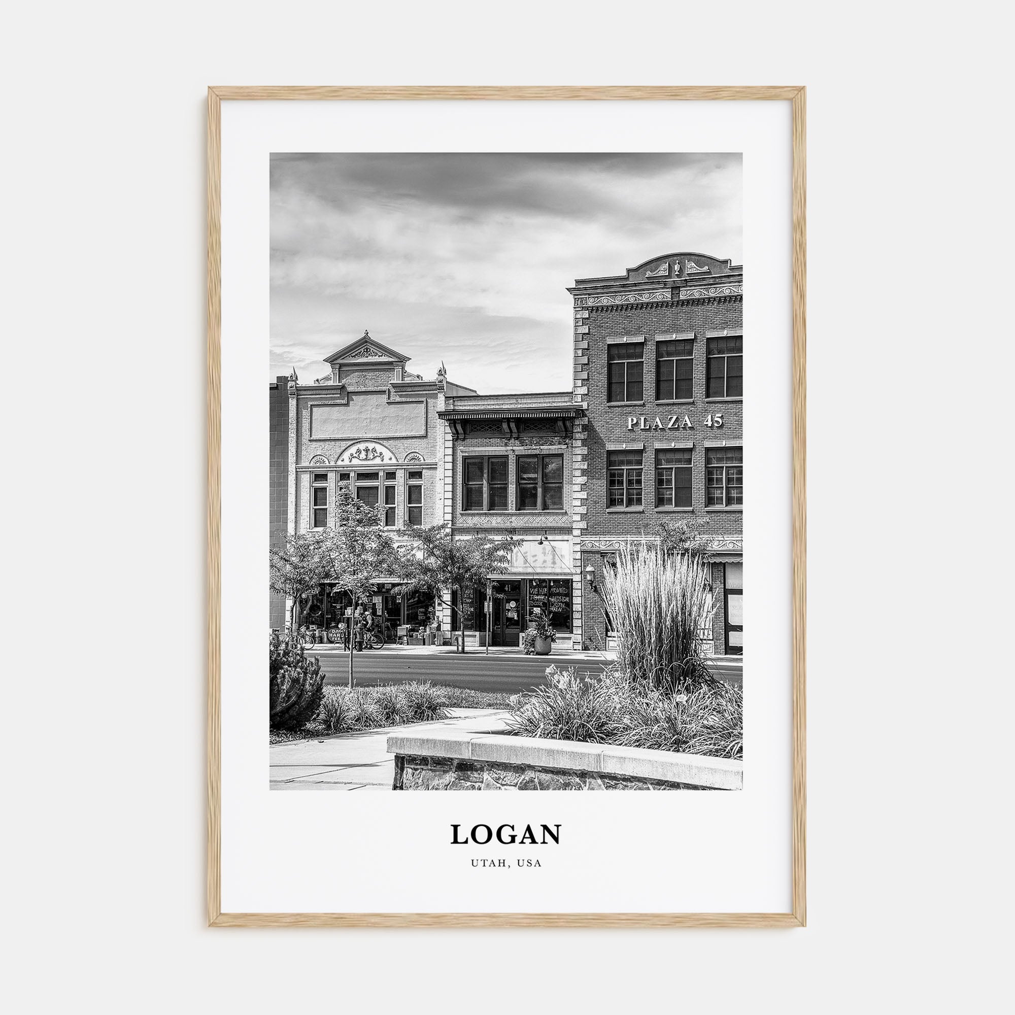 Logan Portrait B&W Poster