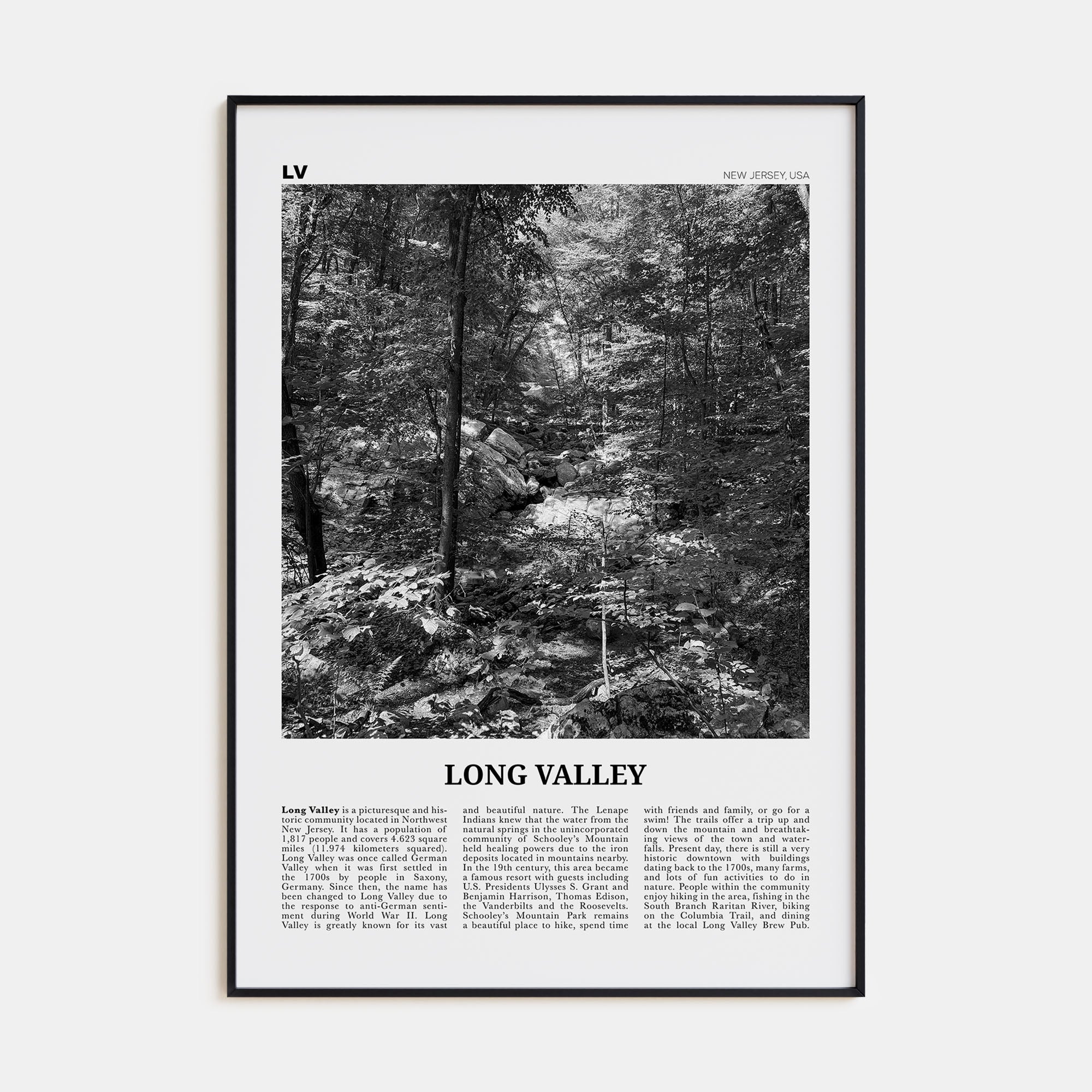 Long Valley Travel B&W Poster