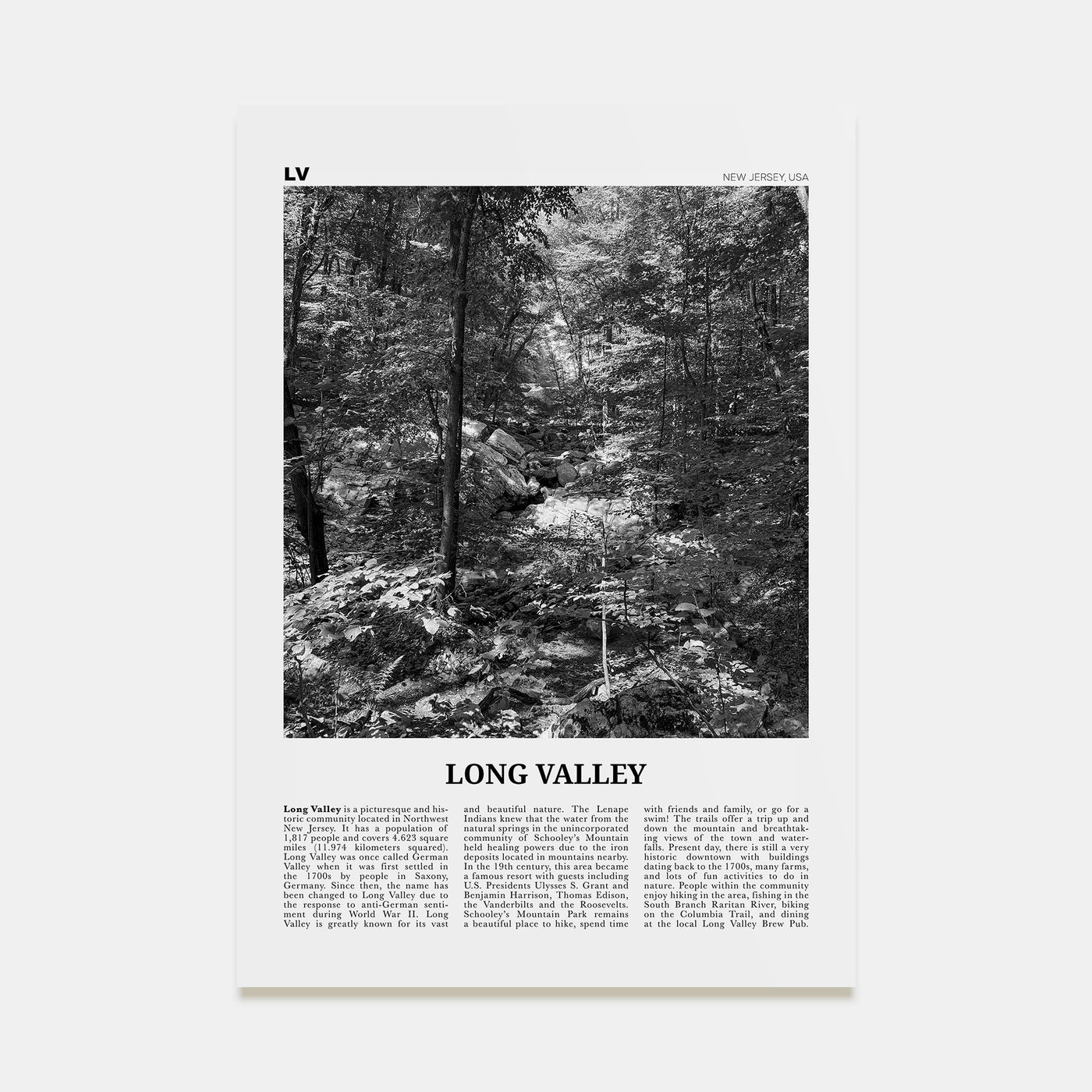 Long Valley Travel B&W Poster