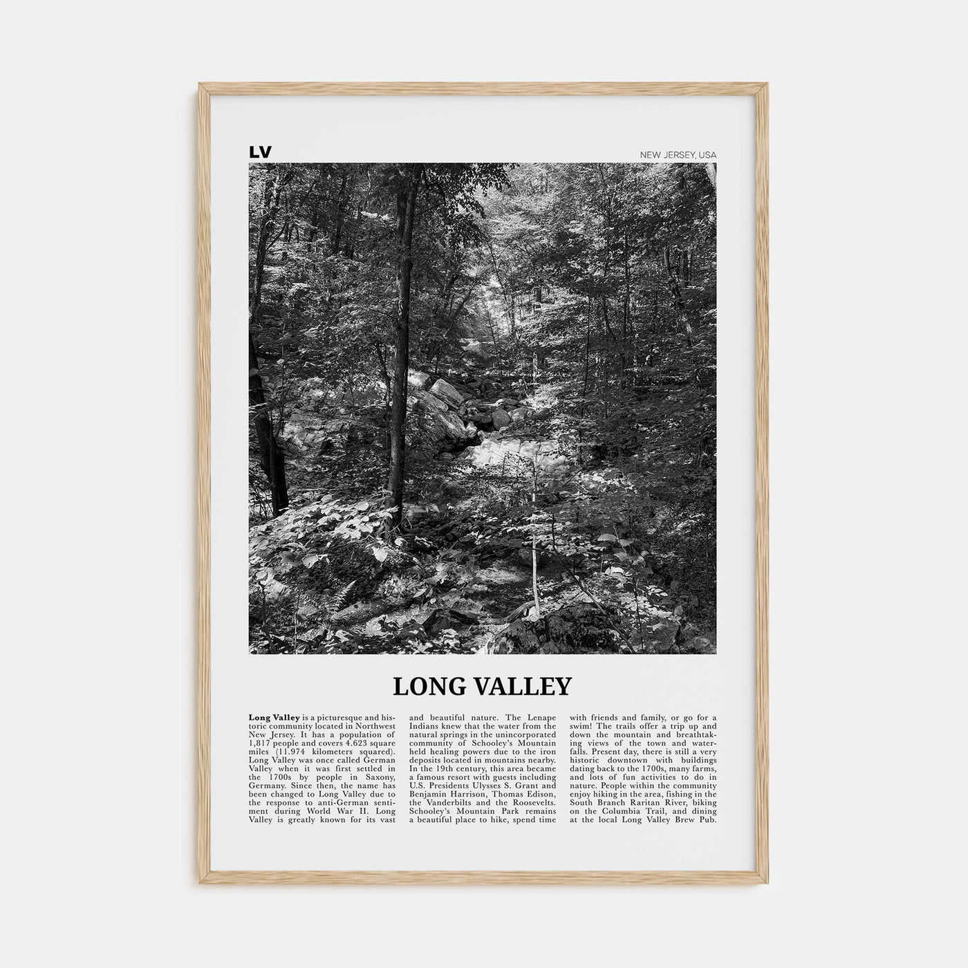 Long Valley Travel B&W Poster