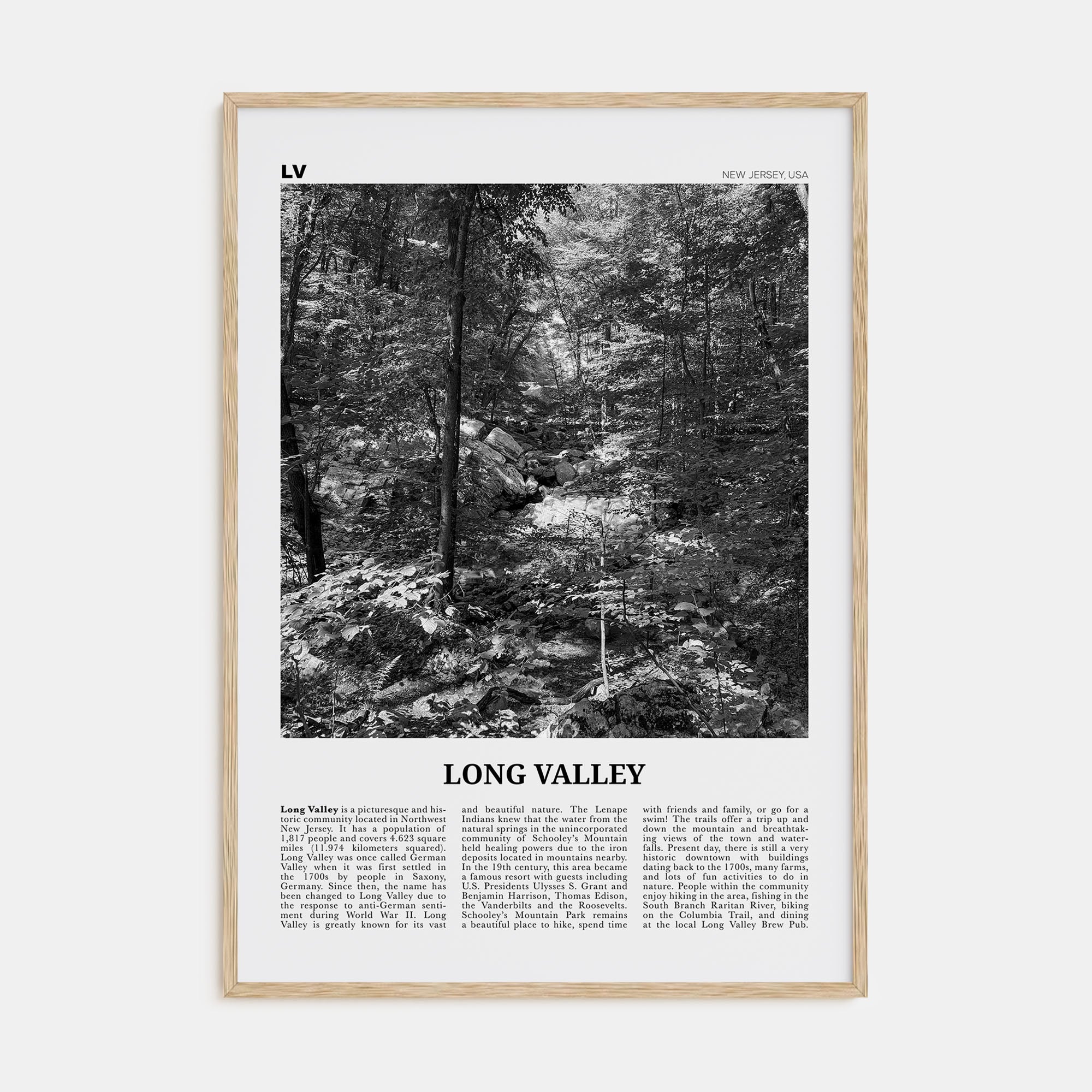 Long Valley Travel B&W Poster