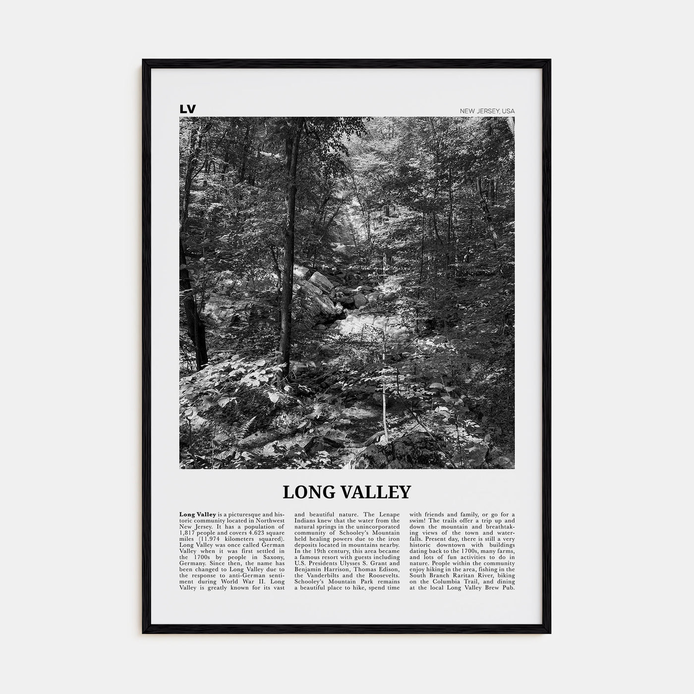 Long Valley Travel B&W Poster
