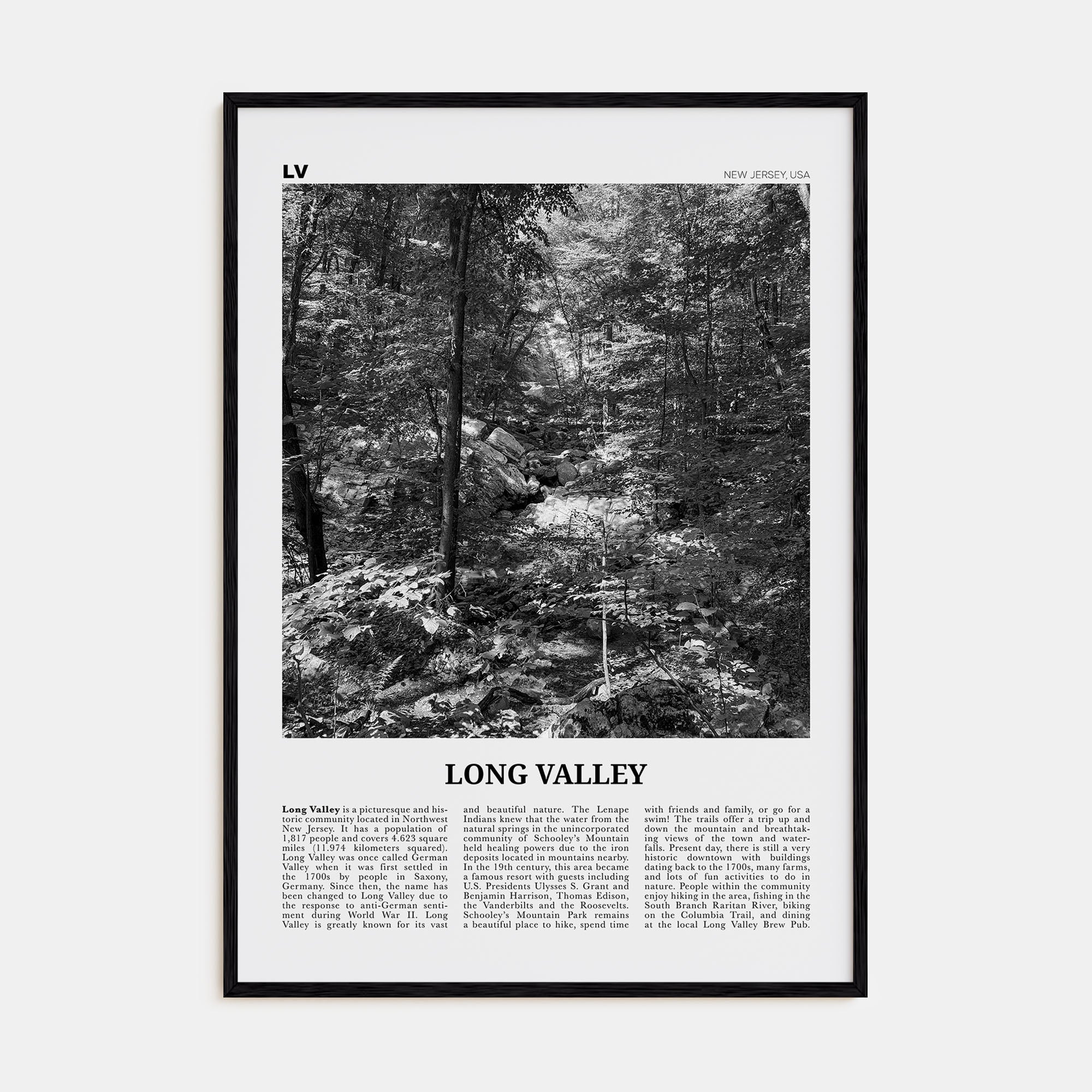 Long Valley Travel B&W Poster