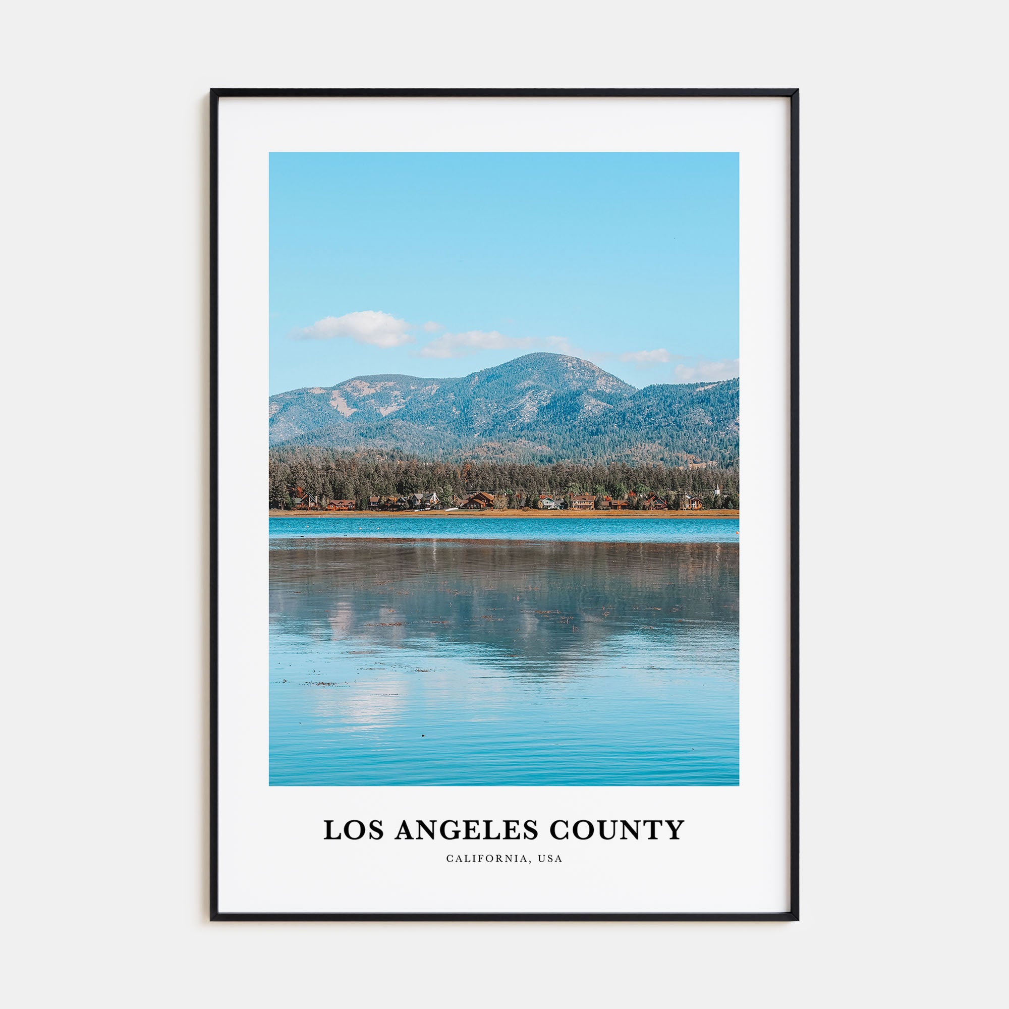 Los Angeles County Portrait Color Poster