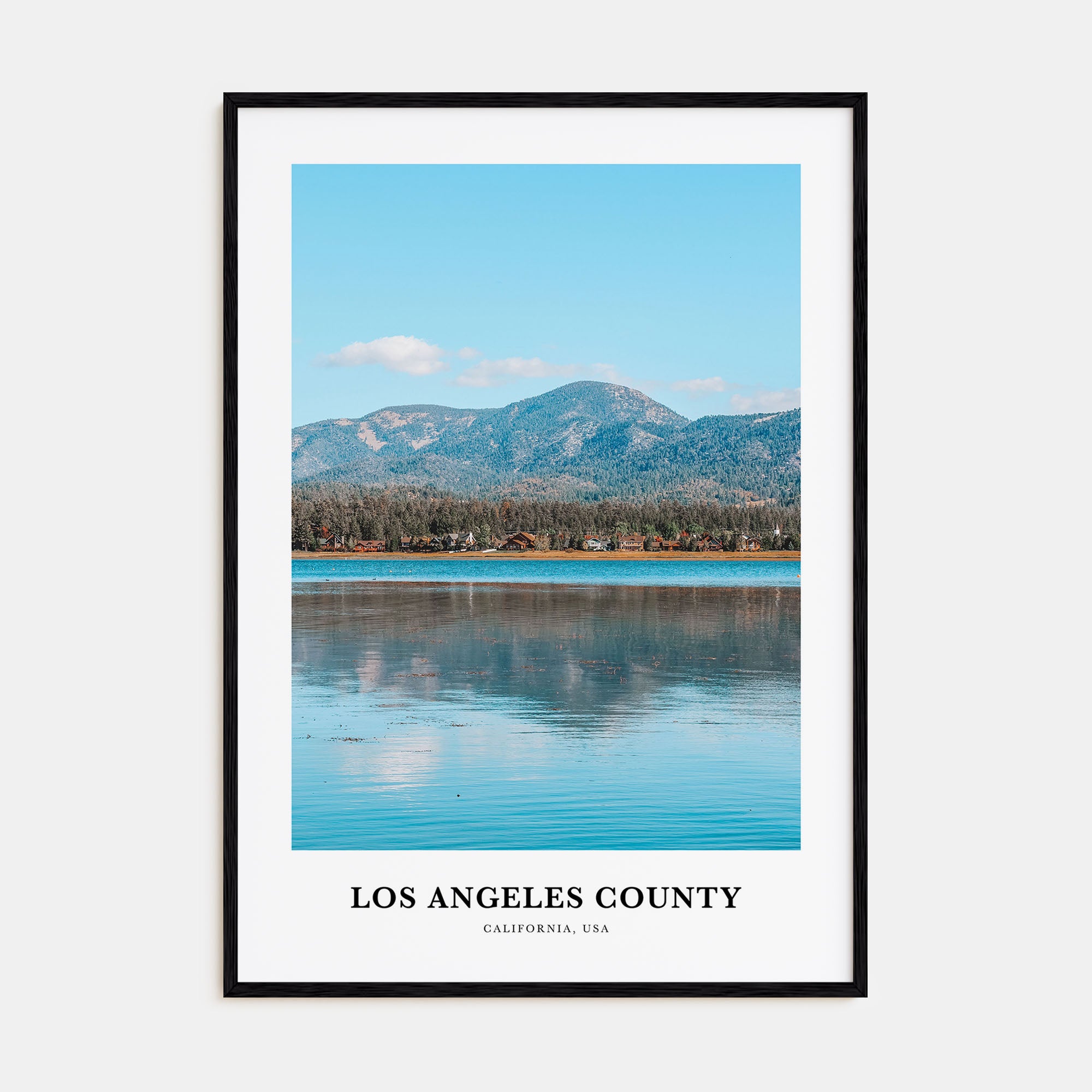 Los Angeles County Portrait Color Poster