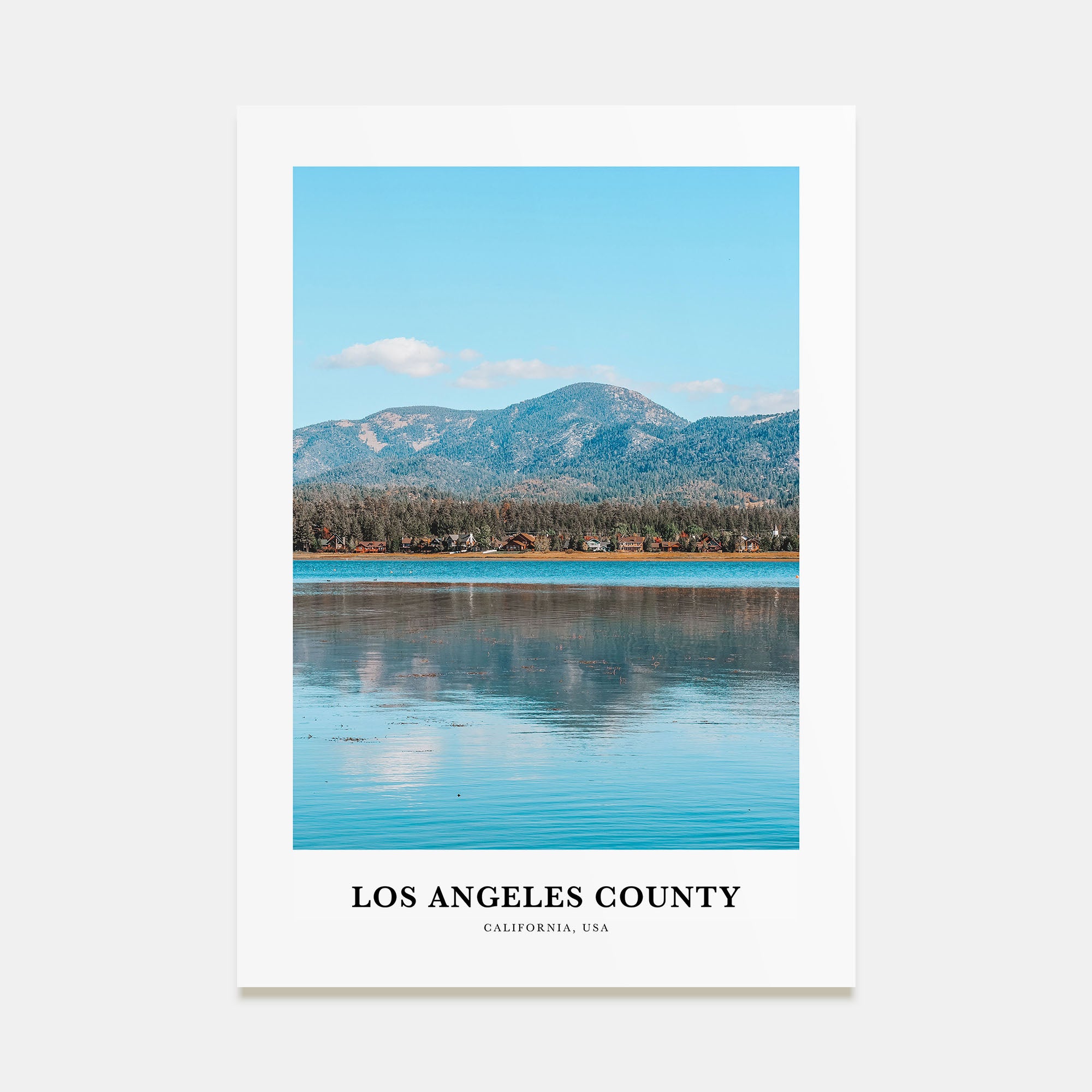 Los Angeles County Portrait Color Poster