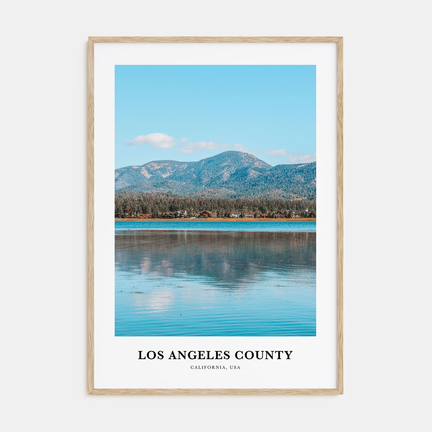 Los Angeles County Portrait Color Poster