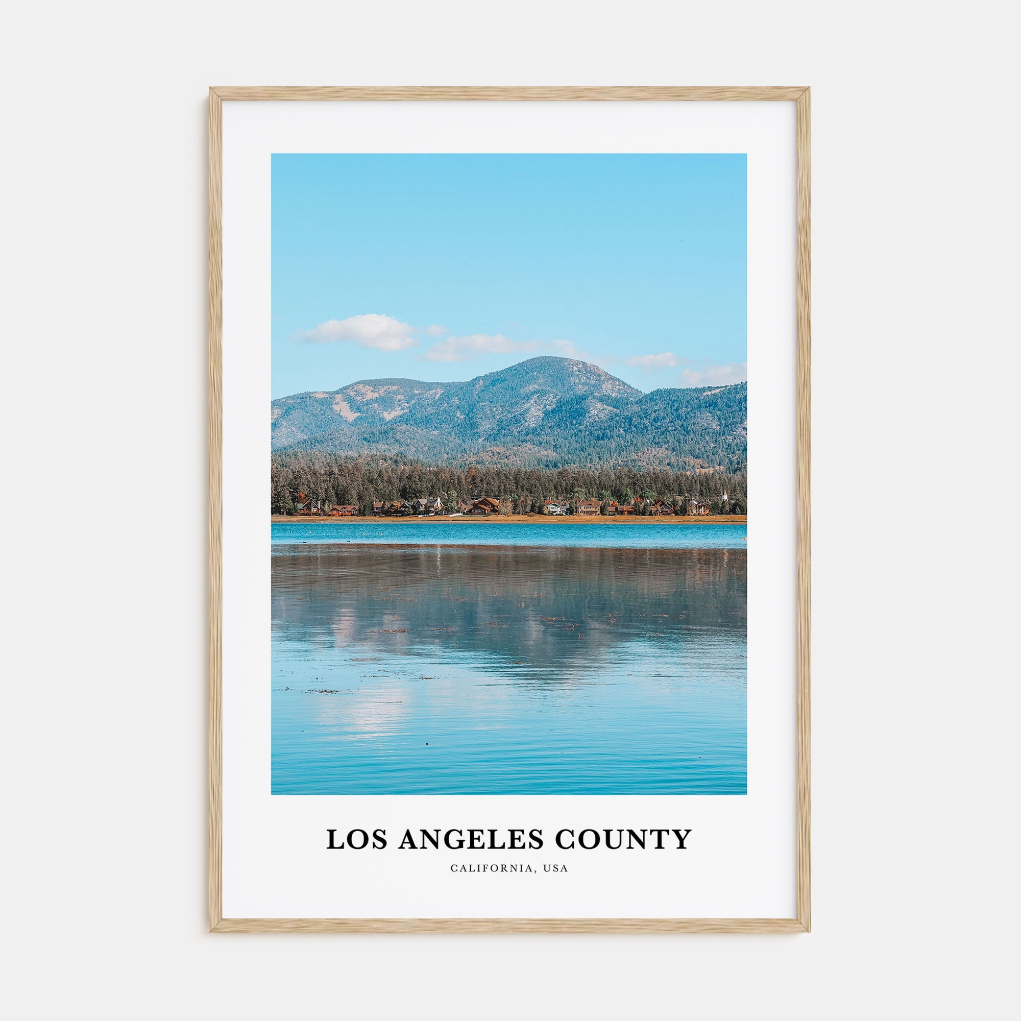 Los Angeles County Portrait Color Poster